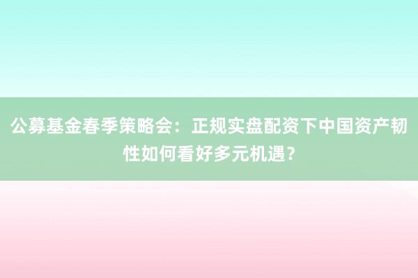 公募基金春季策略会：正规实盘配资下中国资产韧性如何看好多元机遇？